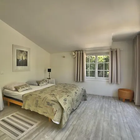 Domaine Du Galon D'or Arvert