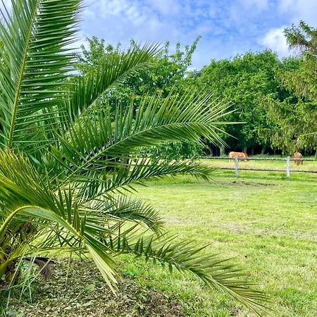 Casa de Férias Domaine Du Galon D'or *